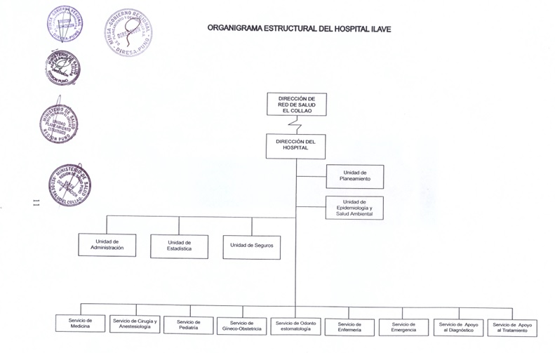 Descripción de la imagen